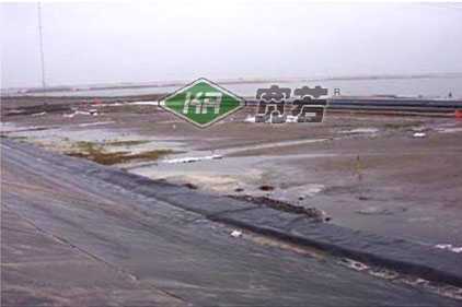 電廠調(diào)節(jié)池防滲