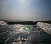 金鑼集團(tuán)氧化塘防滲