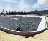 V|β(lin)B(yng)ֳrطB