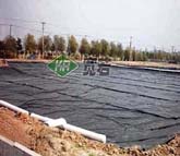 Їˮa(chn)ƌW(xu)оԺB(yng)ֳطB