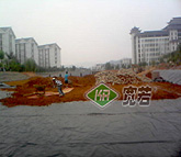 F݄P｛(jng)(j)W(xu)Ժ˹B