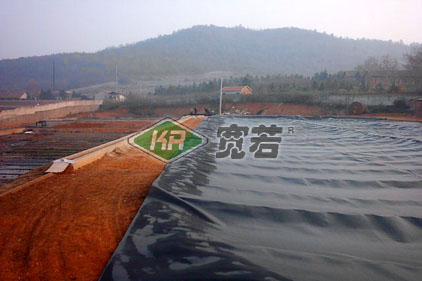 蓋瀉湖沼氣池黑膜防滲